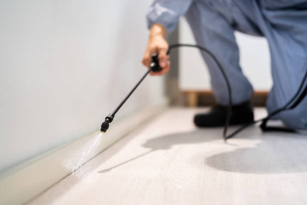 Licensed Pest Control service in Columbia Heights, MN - Nex Pest Control