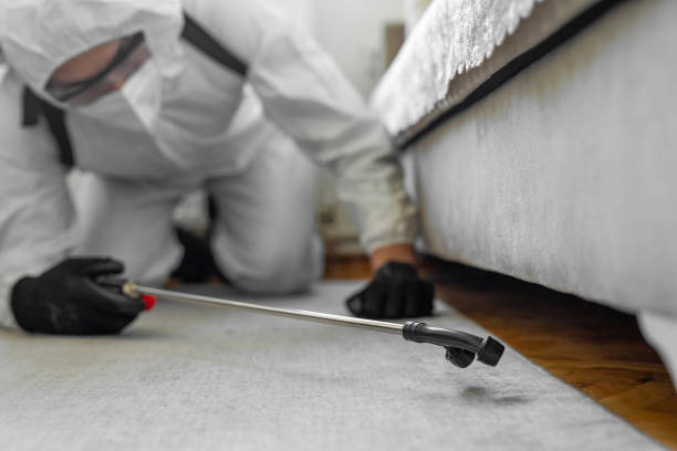Professional Pest Control technician working in Columbia Heights, MN