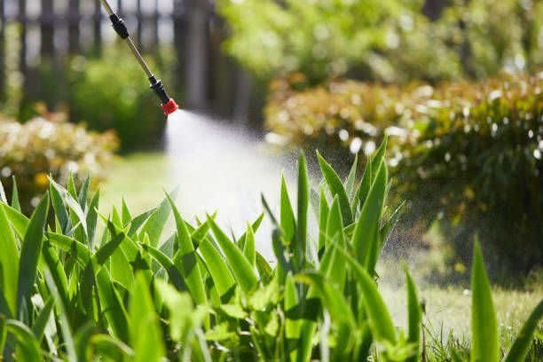 24/7 Emergency Rodent Control experts in Columbia Heights, MN