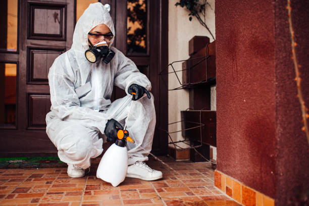 Reliable Rodent Control contractor in Columbia Heights, MN by Nex Pest Control