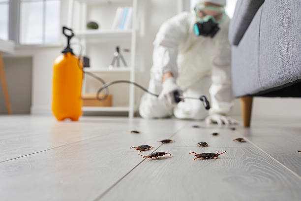 Trusted Emergency Pest Control service in Columbia Heights, MN - Nex Pest Control