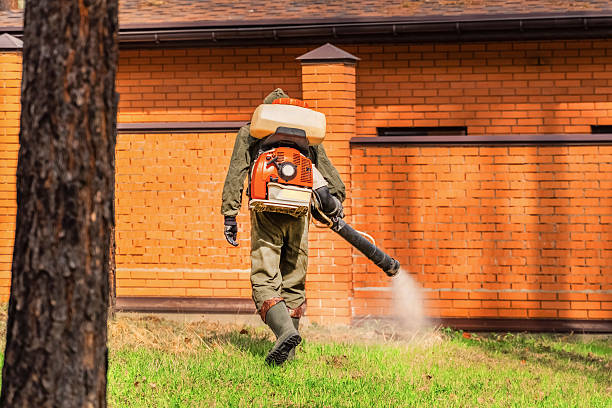 Trusted Mosquito Control service in Columbia Heights, MN - Nex Pest Control